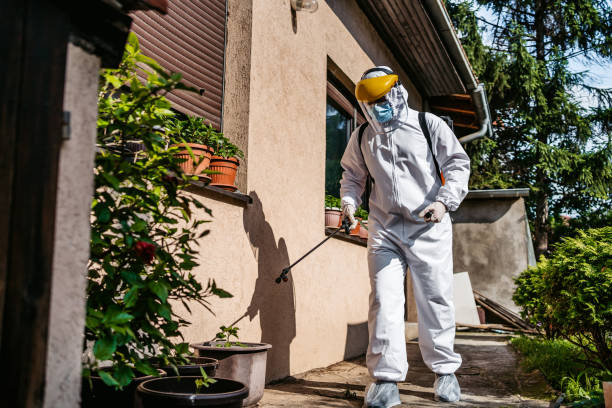 Best Pest Removal Services  in Lordship, CT